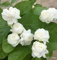 库里泸州老窖天府中学引热议(泸州老窖天府中学新修教学楼最新报道)