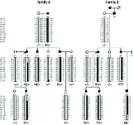 詹姆斯首轮对皇社确定将再成焦点(詹姆斯完爆) 詹姆斯首轮对皇社确定将再成焦点(詹姆斯完爆)